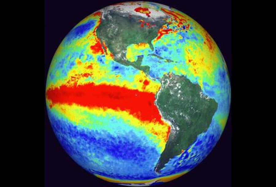 El Niño brings warmer water to the coast. (Photo Internet reproduction)