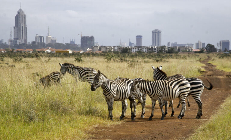 Climate change has become the biggest threat to Kenya’s wildlife