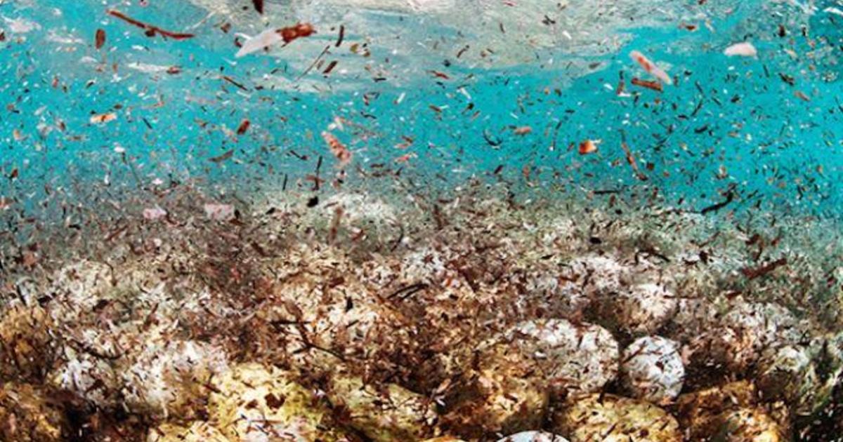 microplastic