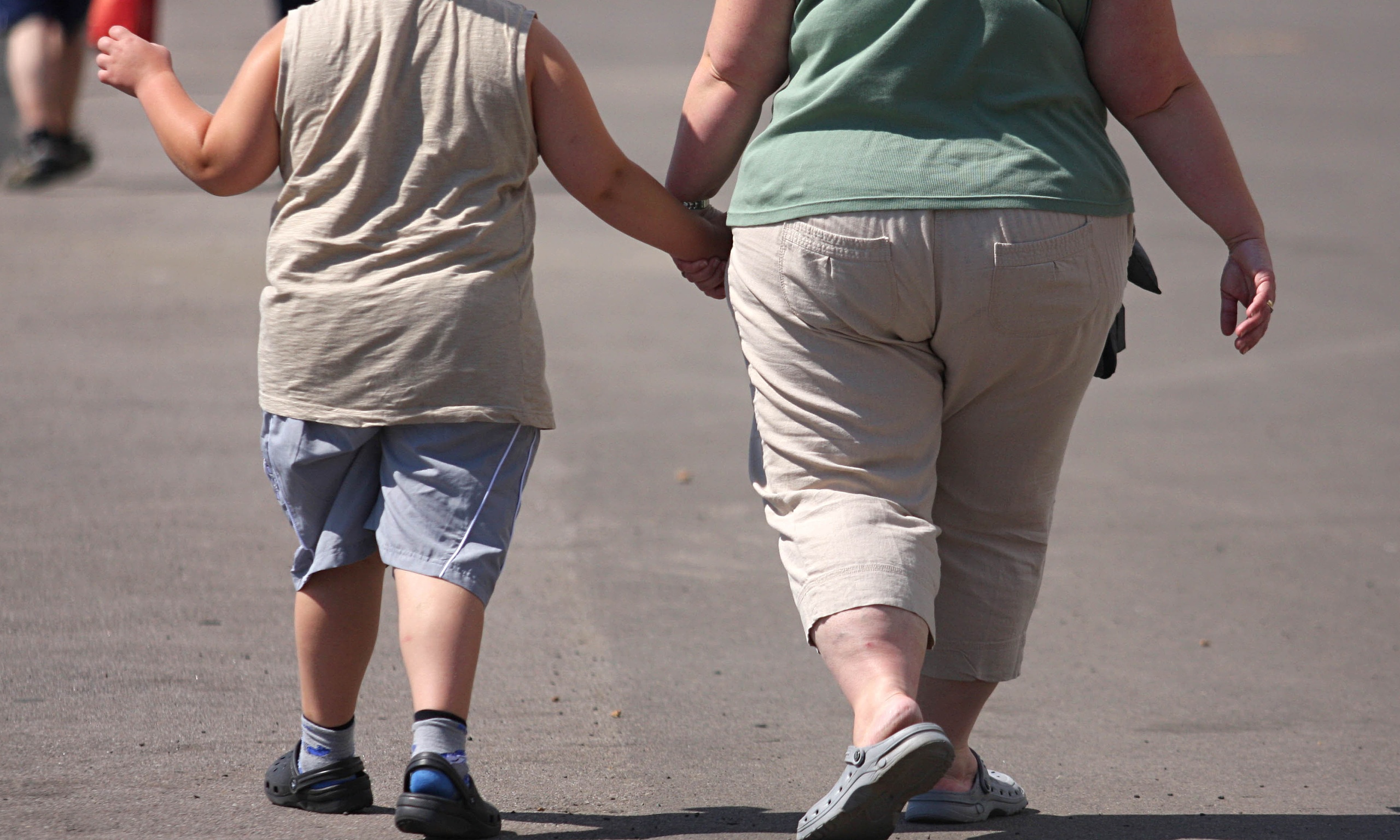 An overweight child and mother.