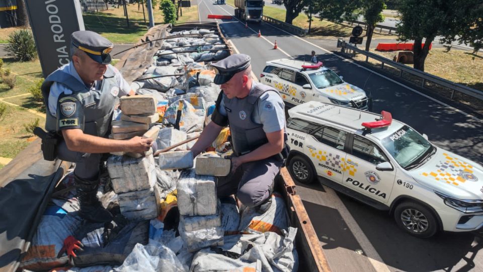 At the end of May, the Military Highway Police made the second largest drug seizure in the state's history, with 12 tons of marijuana seized. (Photo Internet reproductioin)