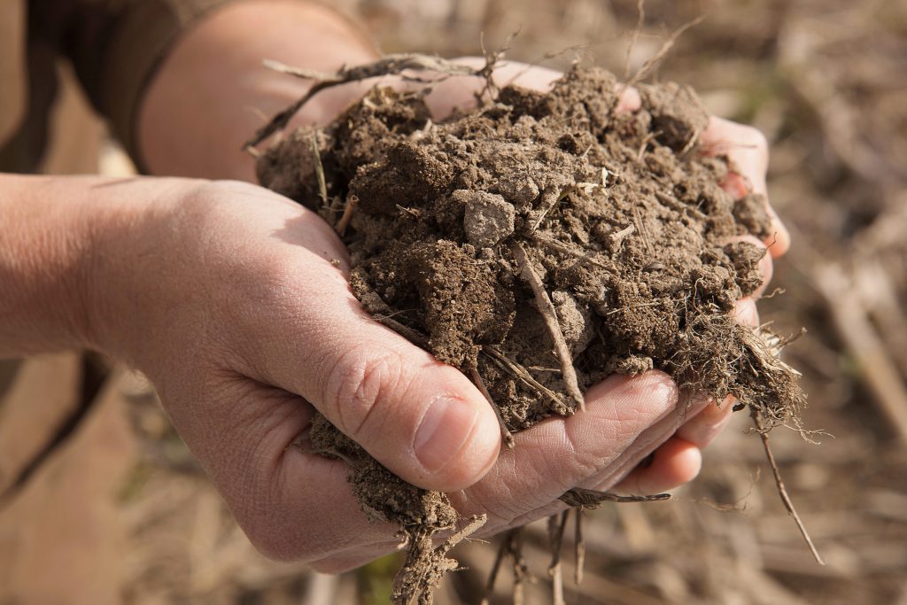 soil