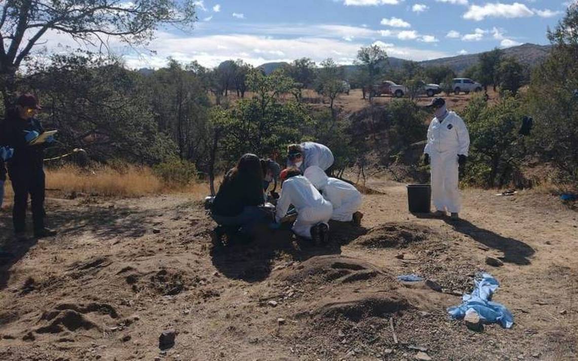 Bone remains found in possible clandestine military cemetery in Uruguay. (Photo Internet reproduction)