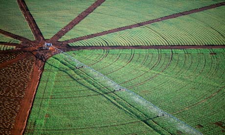 Food security