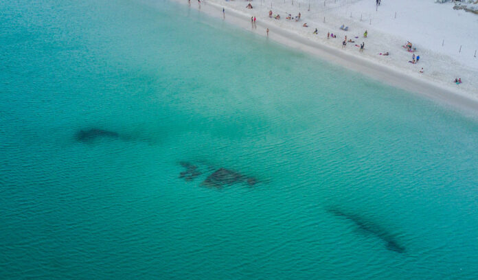 The Imbetiba shipwreck. (Photo Internet reproduction)
