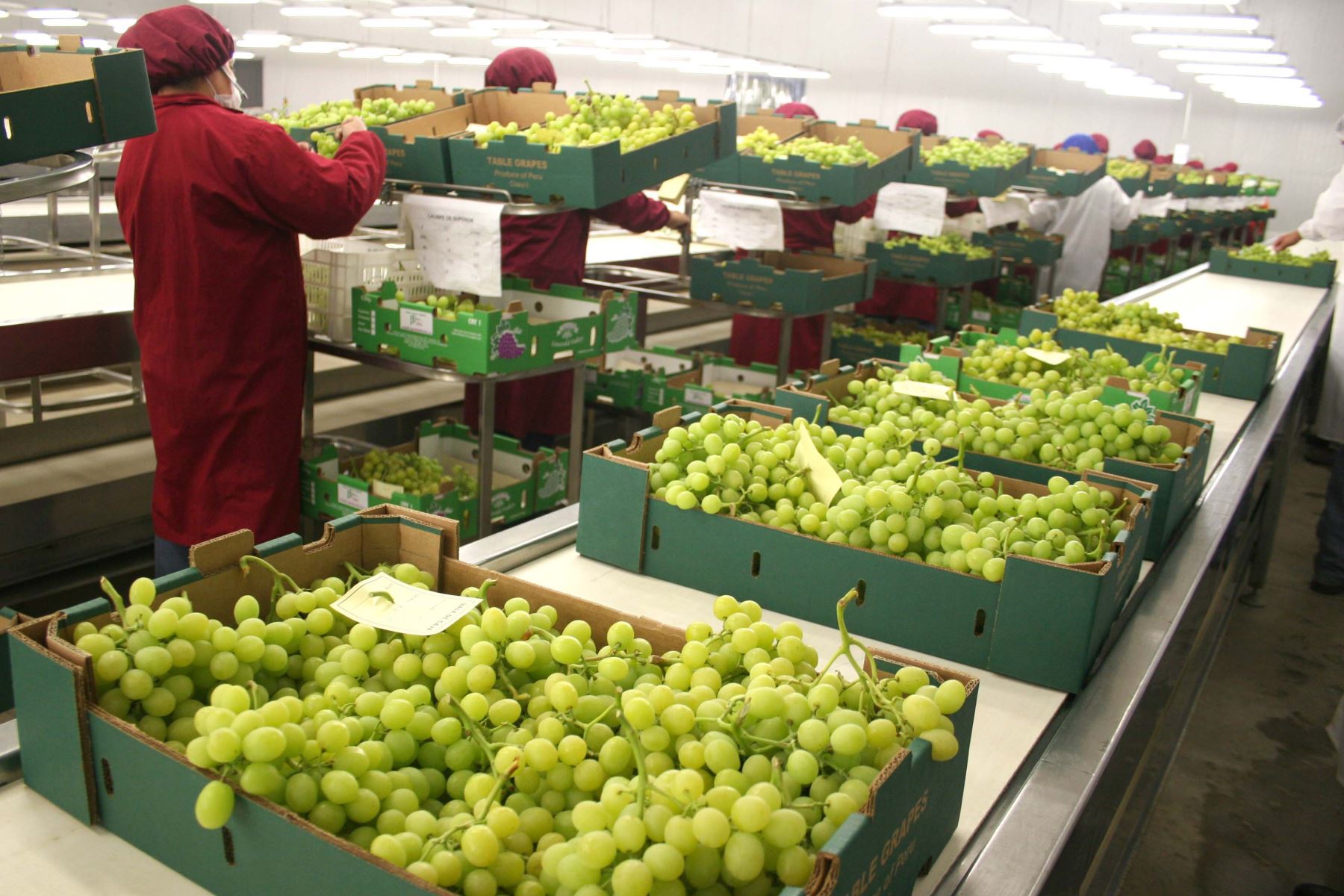 grapes