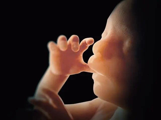 unborn