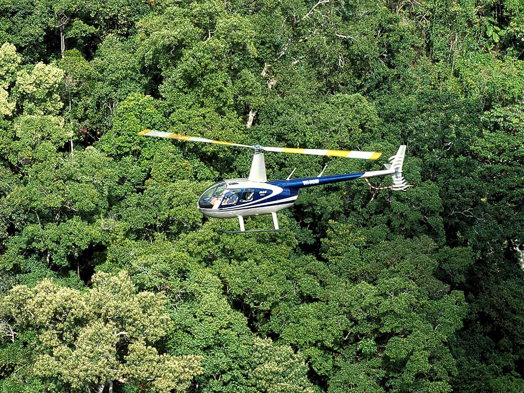 Helicopter over the forest wallpaper