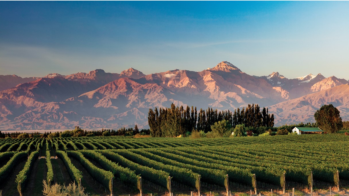 Argentina's wine region Mendoza attracted the most visitors from Brazil. (Photo Internet reproduction)