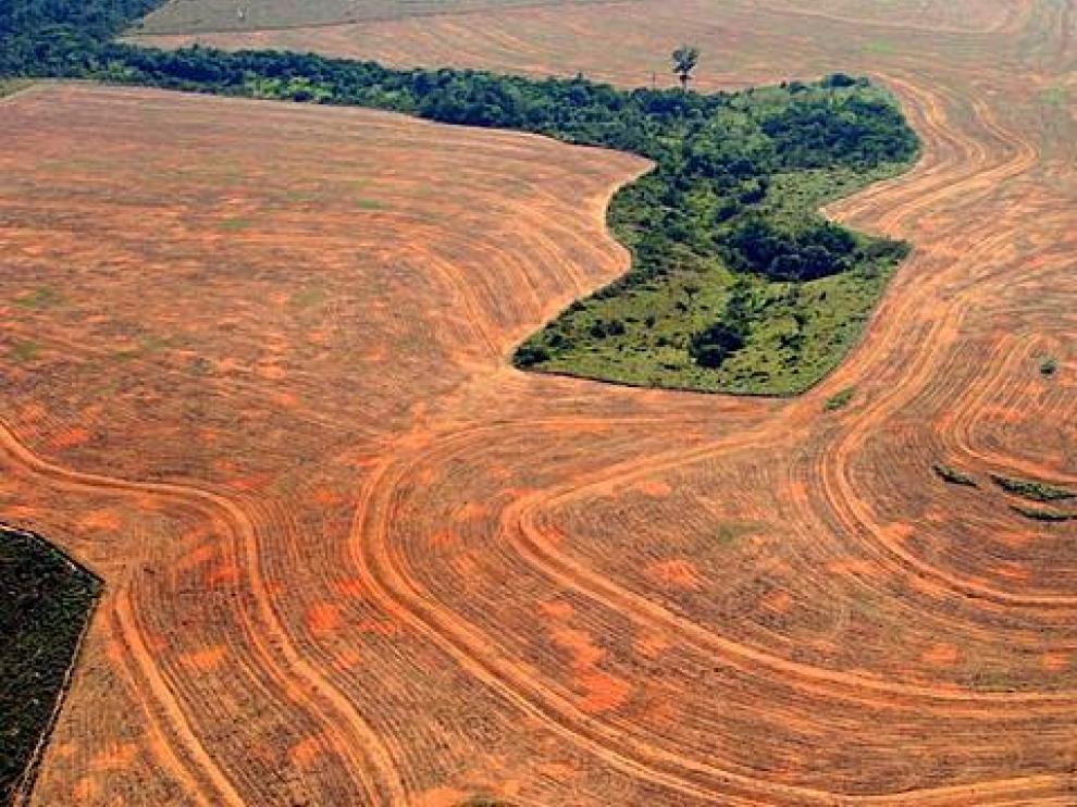 Major Amazon deforester arrested in Brazil: 6,500 hectares cleared, assets frozen. (Photo Internet reproduction)