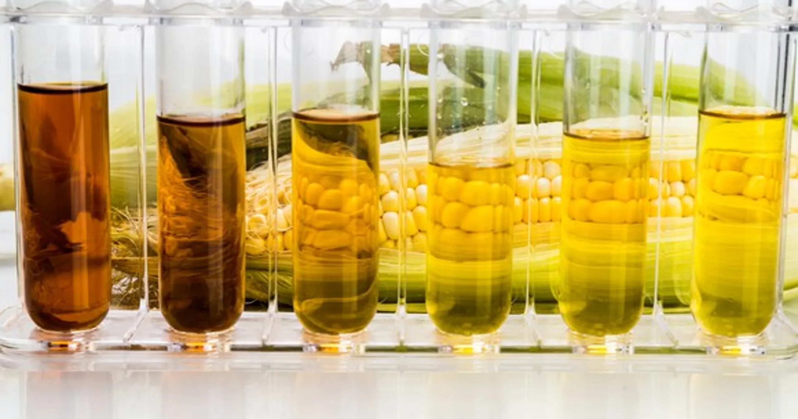 corn ethanol