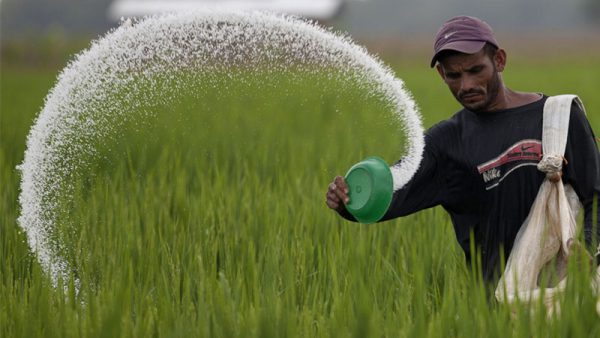 fertilizer 2