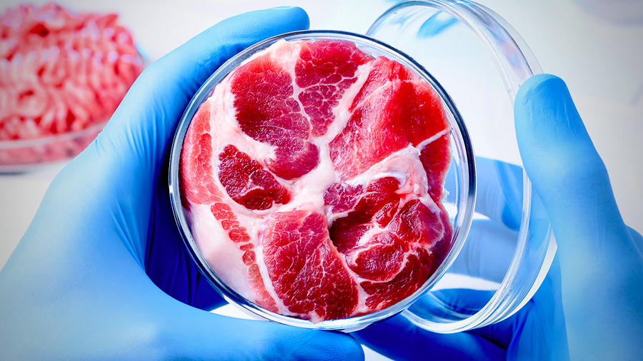 lab-meat