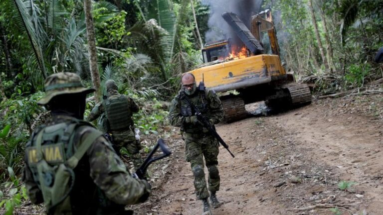 Brazil strengthens security forces to fight crime in Amazon region