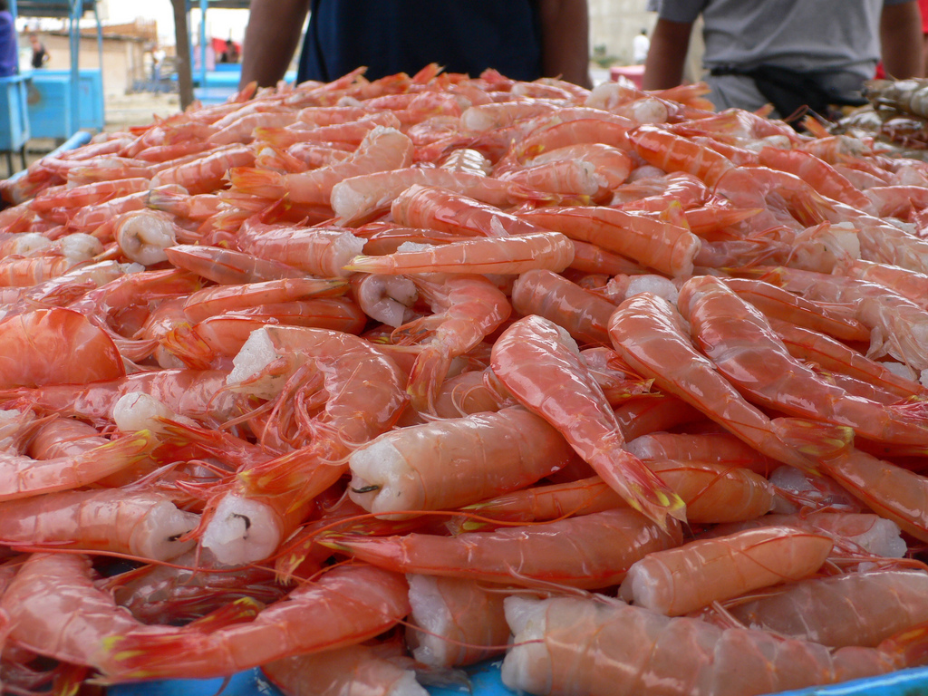 Shrimps remained the top export item at US$3.836 billion, showing a 1% rise, primarily exported to China. (Photo Internet reproduction)