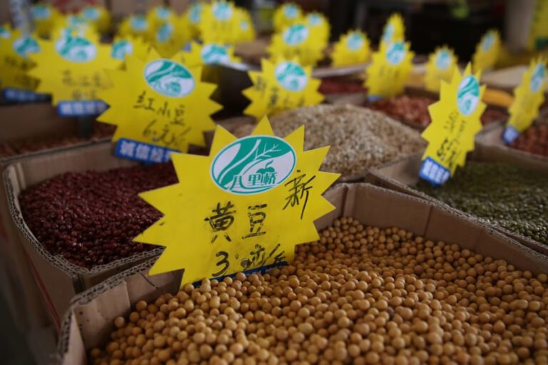 Soy surge: how Brazil’s bean boom is satisfying China’s growing appetite