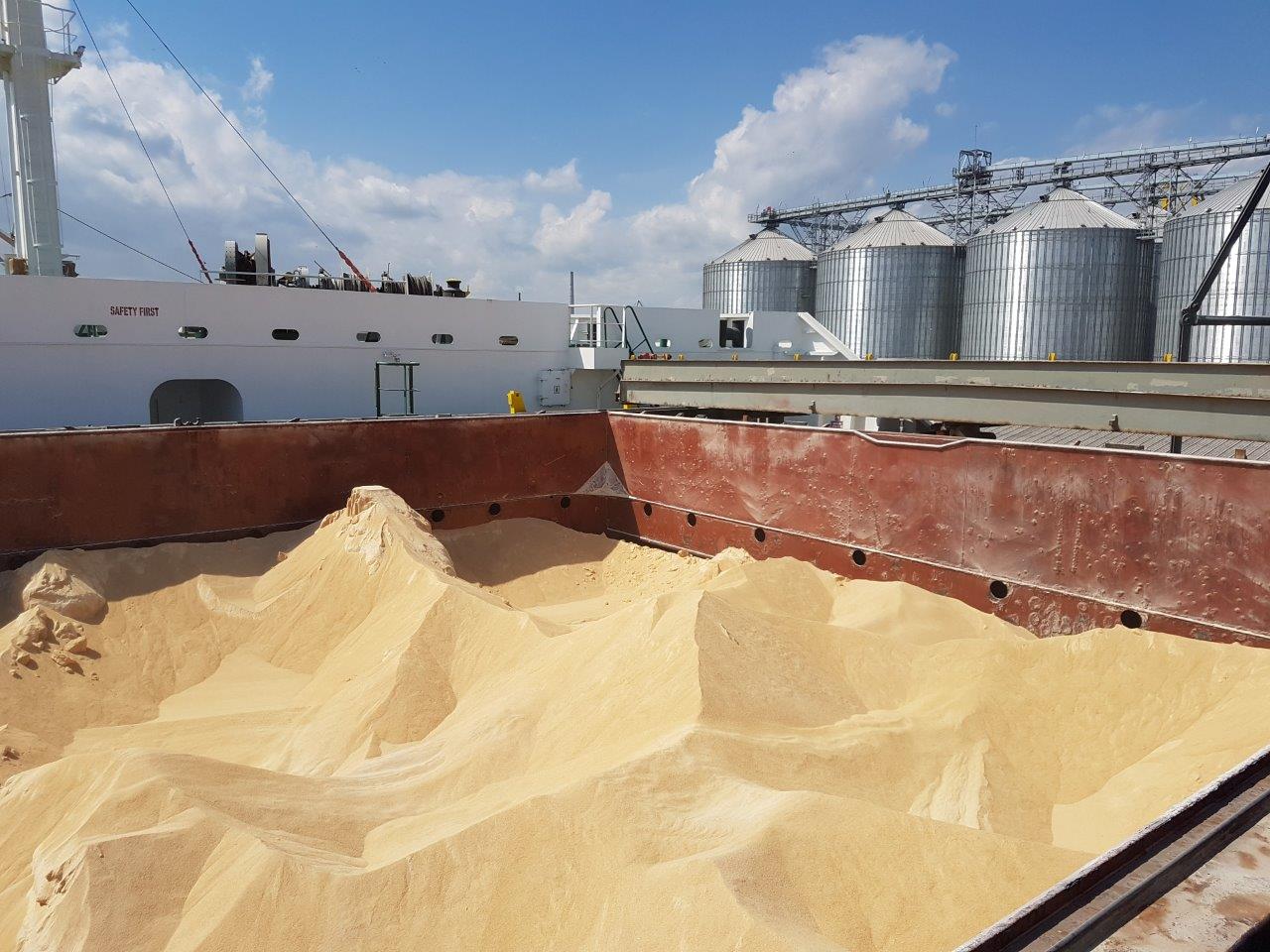 soybean meal