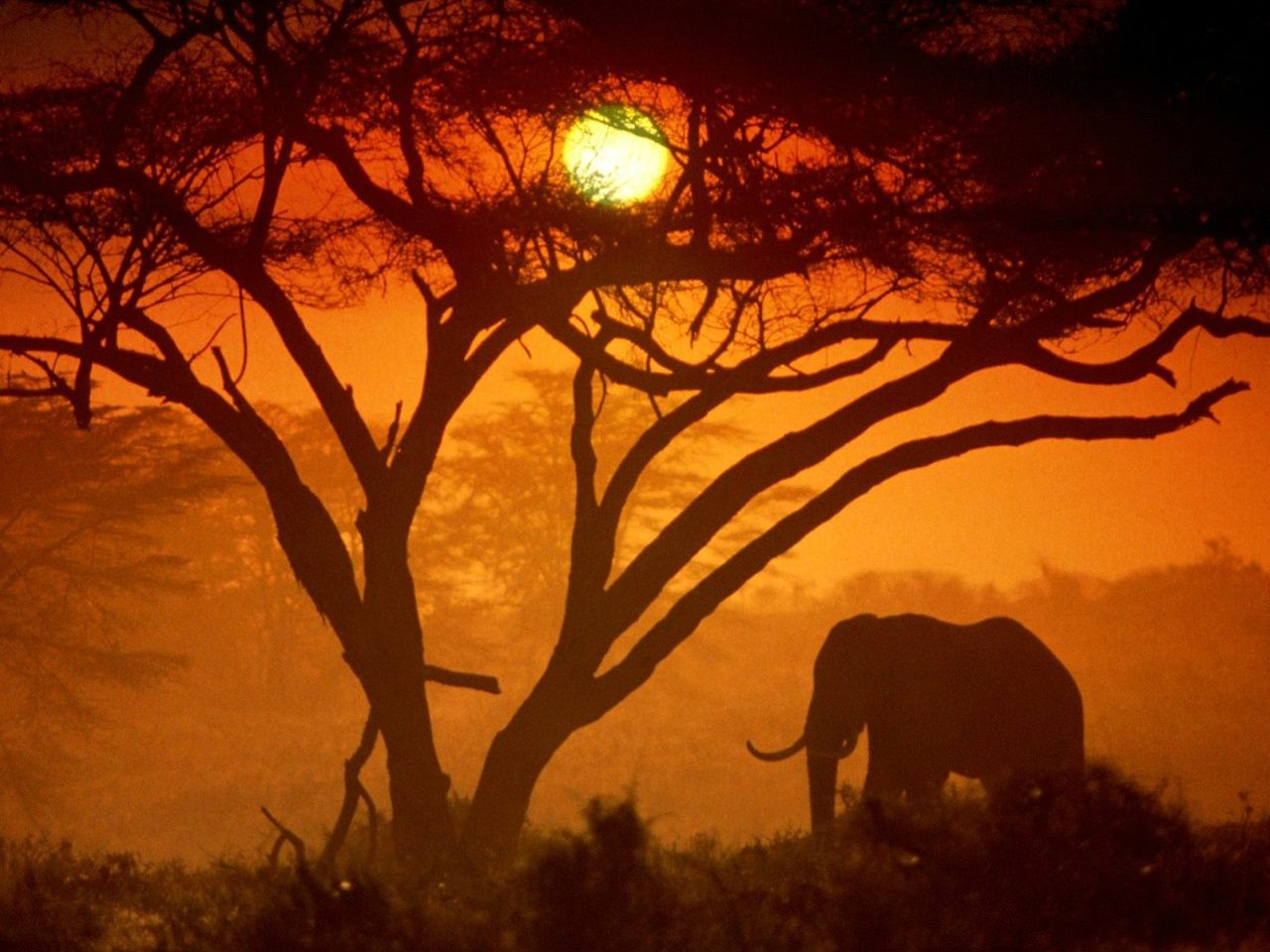 Africa