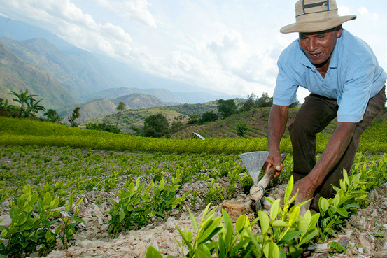 Bolivia coca tradition