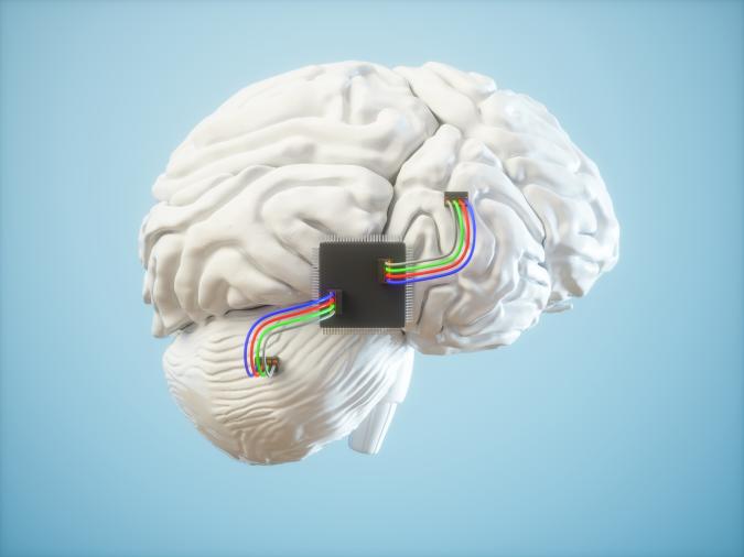 Brain chp
