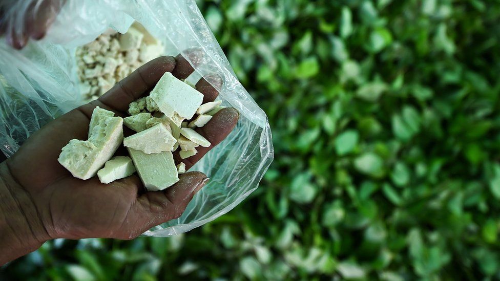 Colombia Sees Record Cocaine Production in 2022. (Photo Internet reproduction)