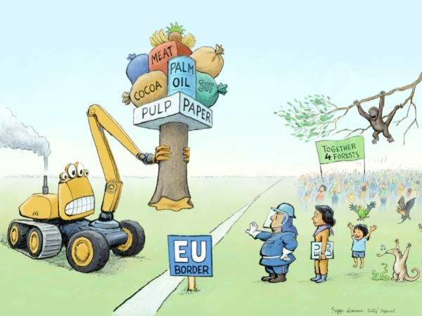 17 Countries Ask EU to Rethink Deforestation Law. (Photo Internet reproduction)