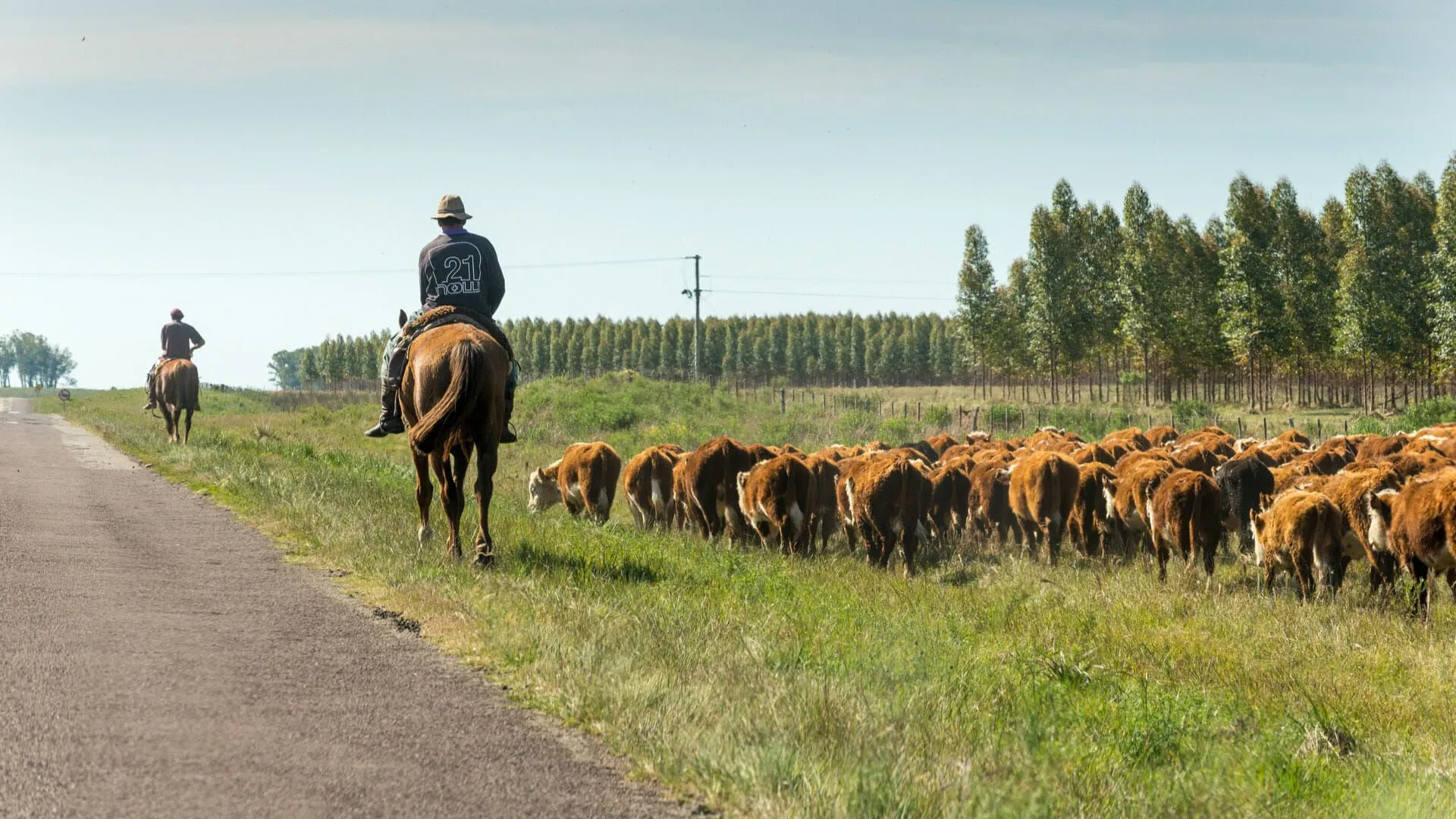 Drought Causes 27% Drop in Uruguay's Farming Sector. (Photo Internet reproduction)