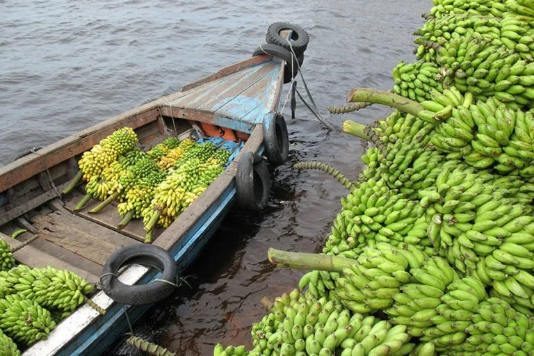 Setback for Brazil's Agro-Industry in May 2024 (Photo Internet reproduction)