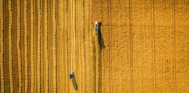 How Agribusiness Titans are Dominating Forbes' 2023 Brazil Billionaires List. (Photo Internet reproduction)