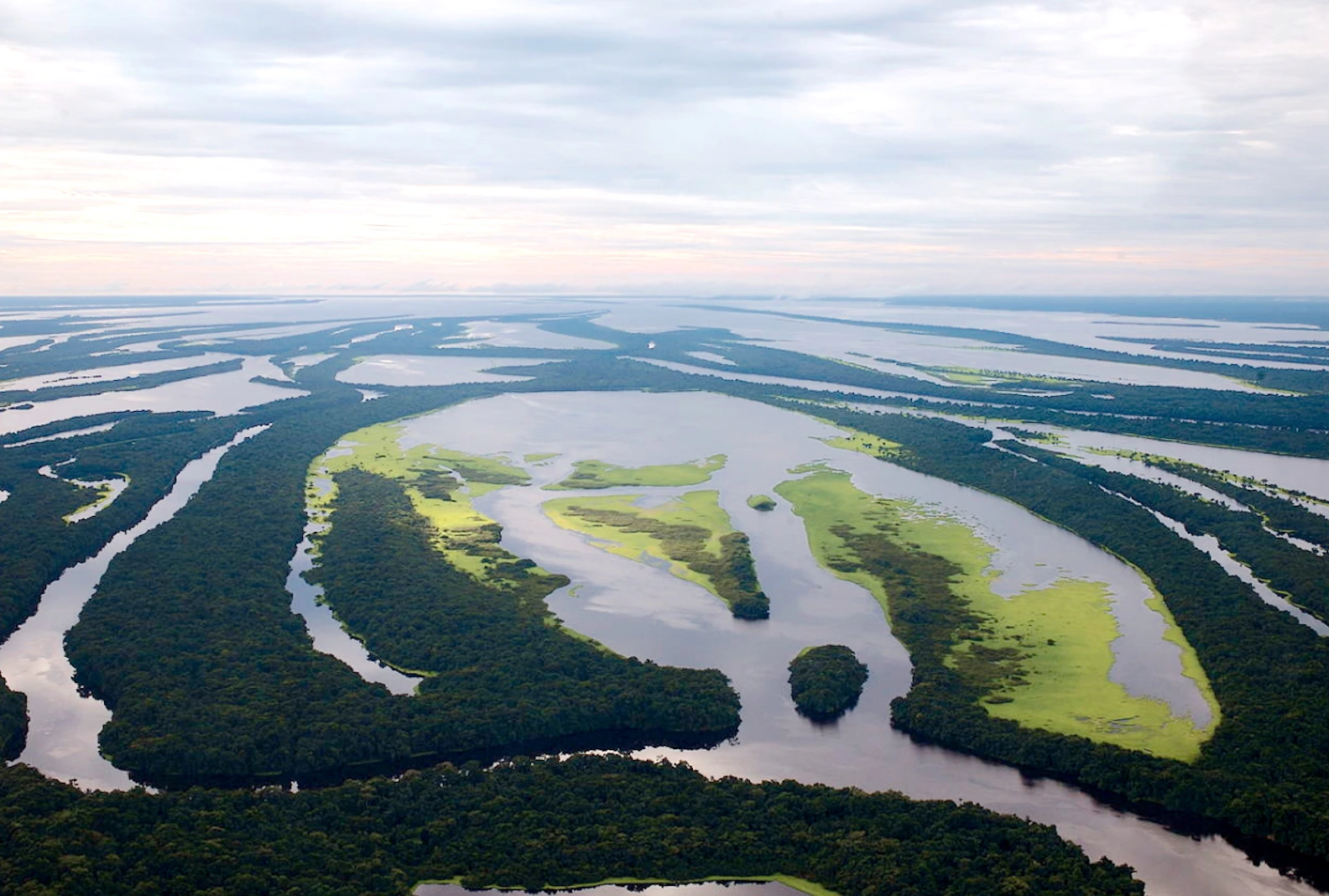 Brazil Uncovers Massive Oil Reserve in Amazon River's Mouth. (Photo Internet reproduction)