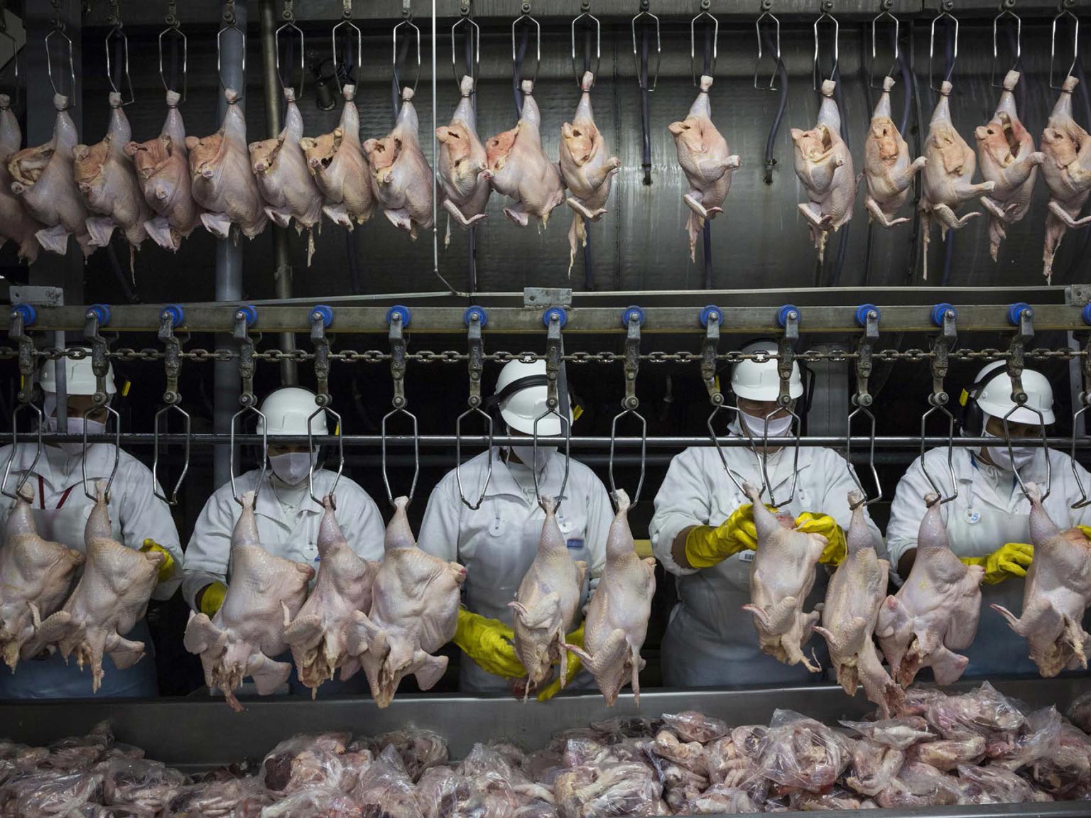 Brazil's Meat Boom by 2024. (Photo Internet reproduction)