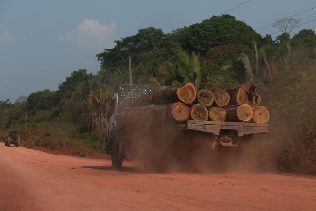 Amazon deforestation alerts in Brazil dropped by 66%, in August. (Photo Internet reproduction)