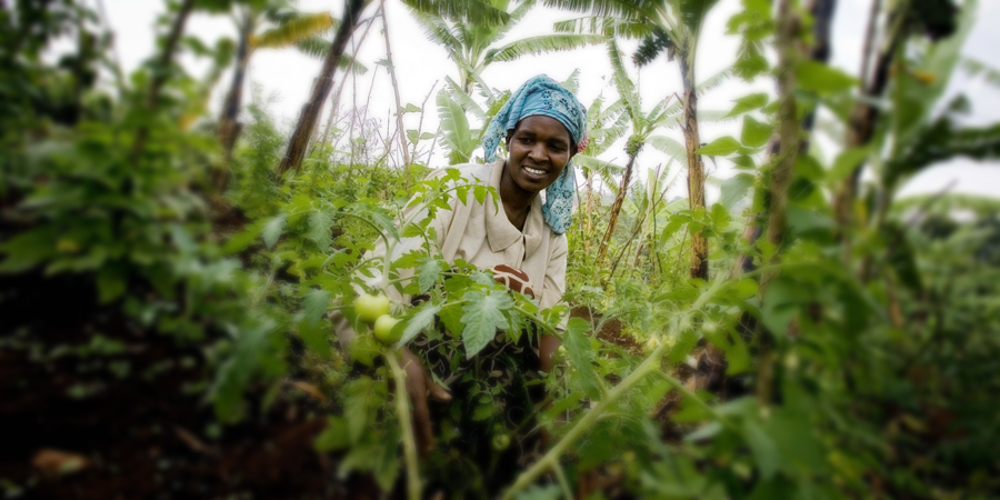 family farm angola