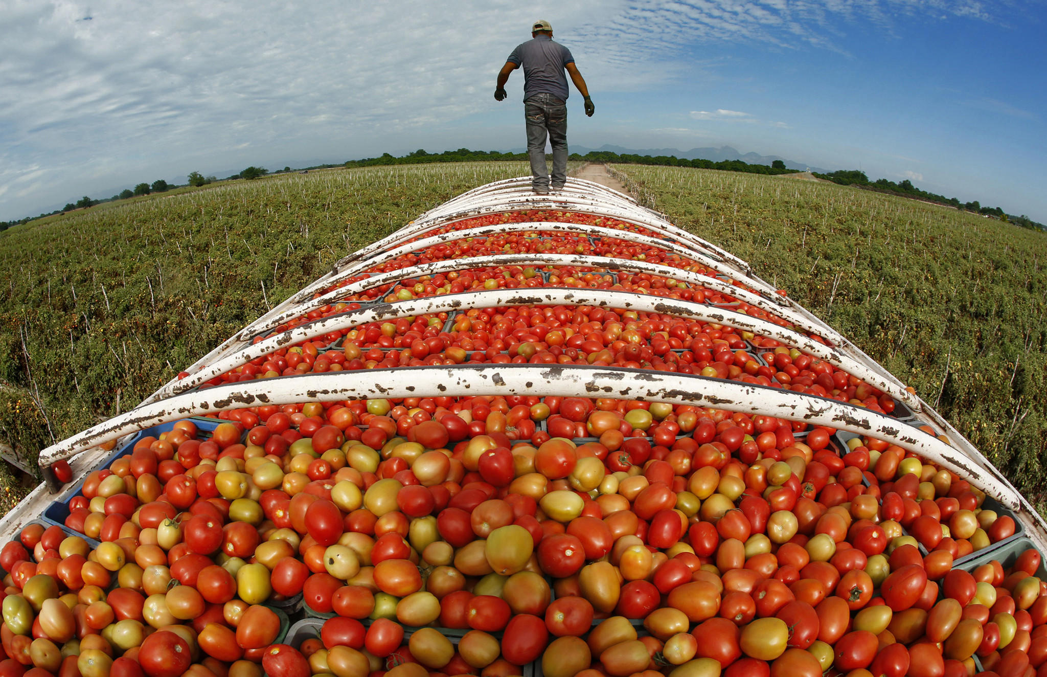 Mexico's Agri-Food Trade Surges in Early 2023. (Photo Internet reproduction)