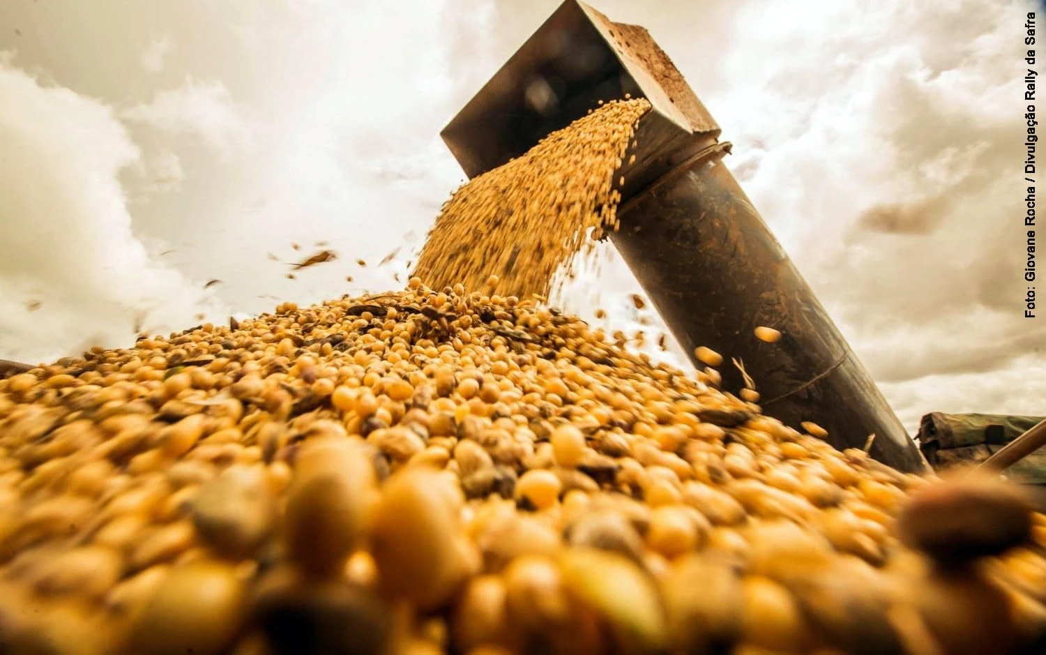 Brazil Risks EU Soybean Loss Due to Green Rules. (Photo Internet reproduction)