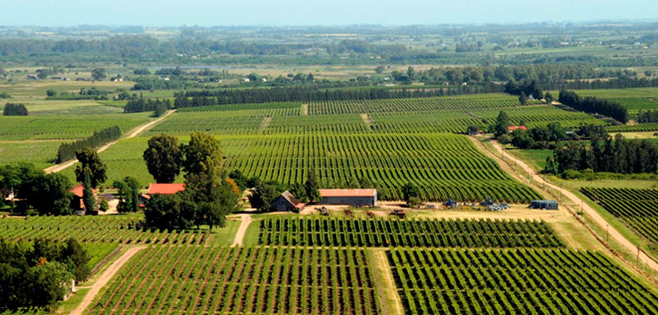 uruguay farming