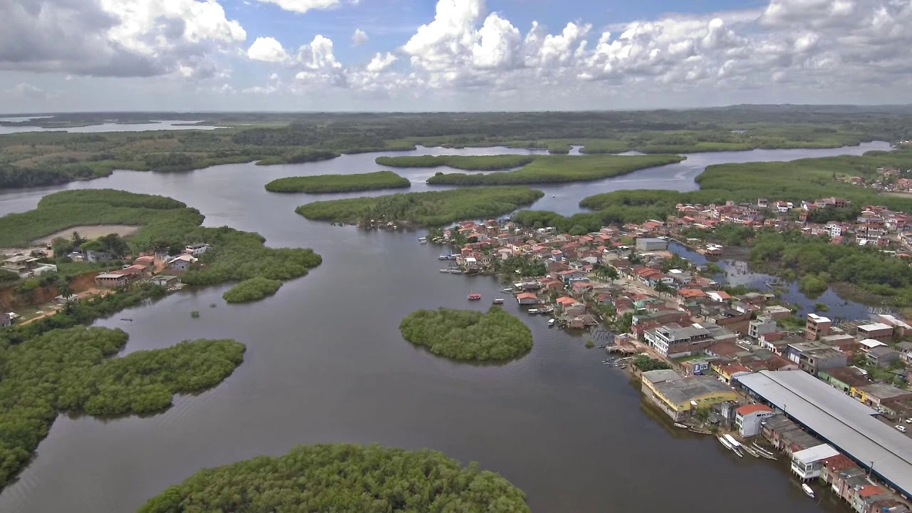 Bahia Town Leads Brazil in Guarana Farming. (Photo Internet reproduction)