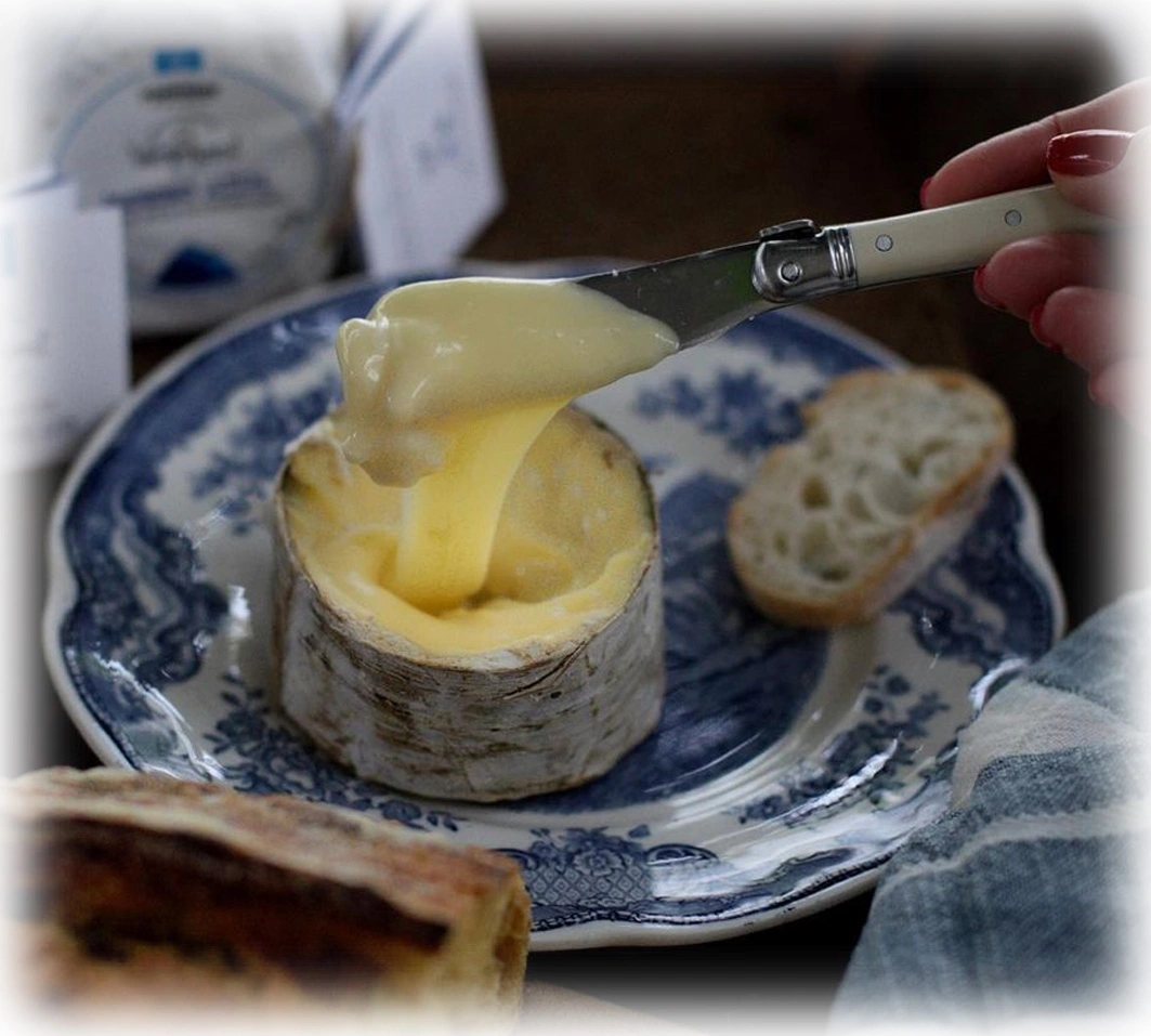 Morro Azul Takes Top Latin Cheese Spot in Global Contest. (Photo Internet reproduction)