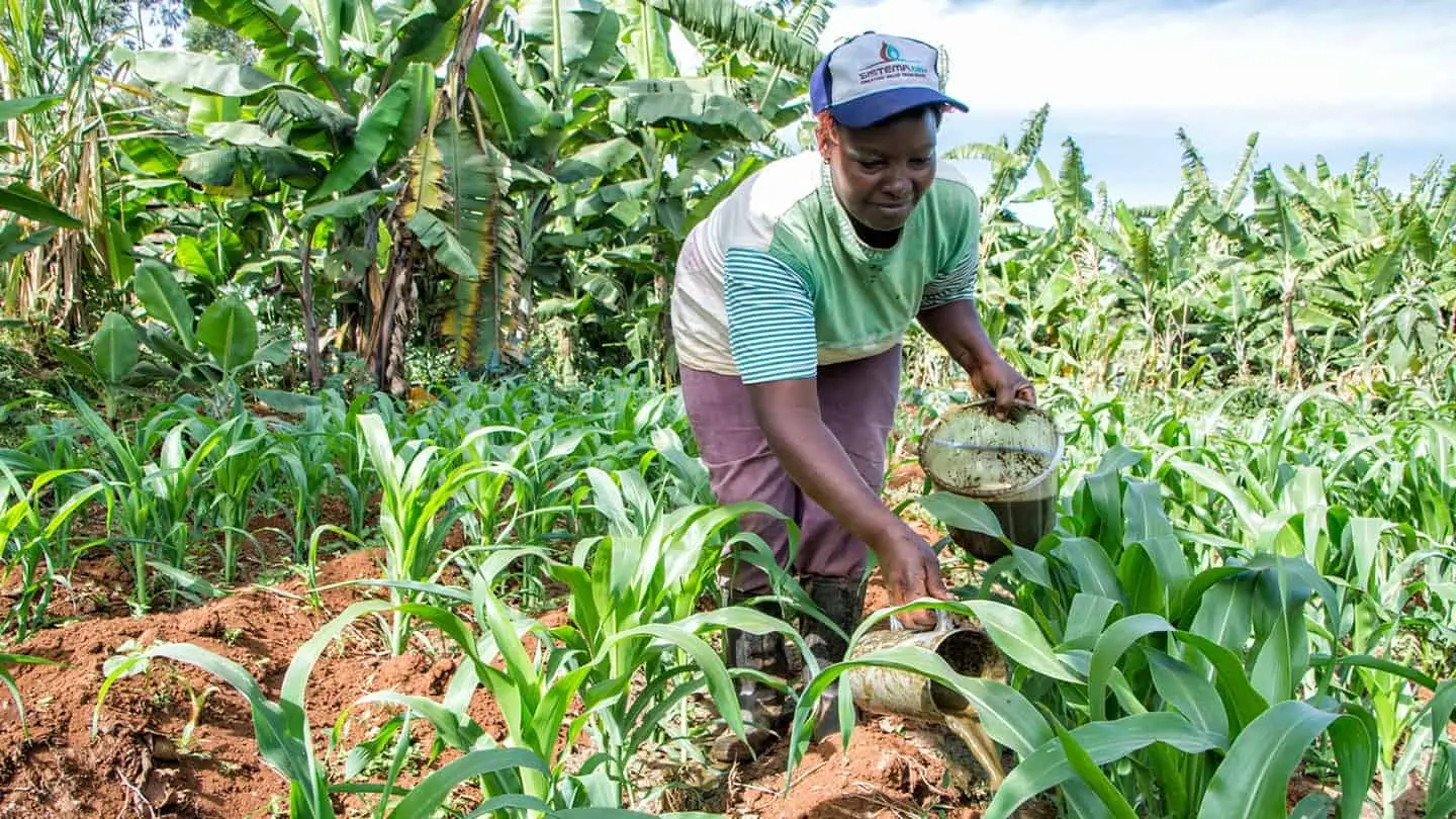 Brazilian Farms Pivot to Sustainable Biofertilizers. (Photo Internet reproduction)