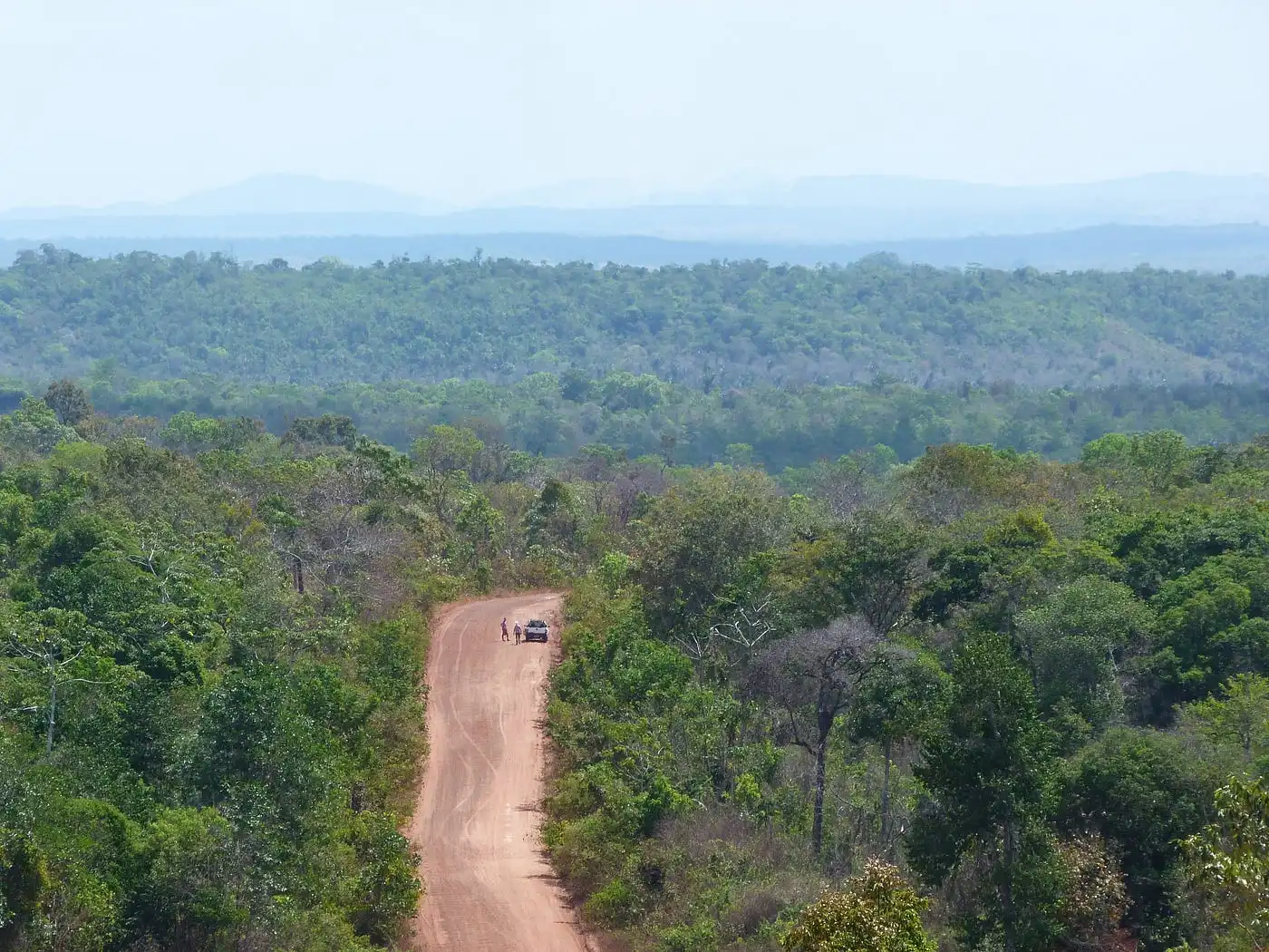 Native Forests in Brazil Shrink 15% Over 38 Years. (Photo Internet reproduction)
