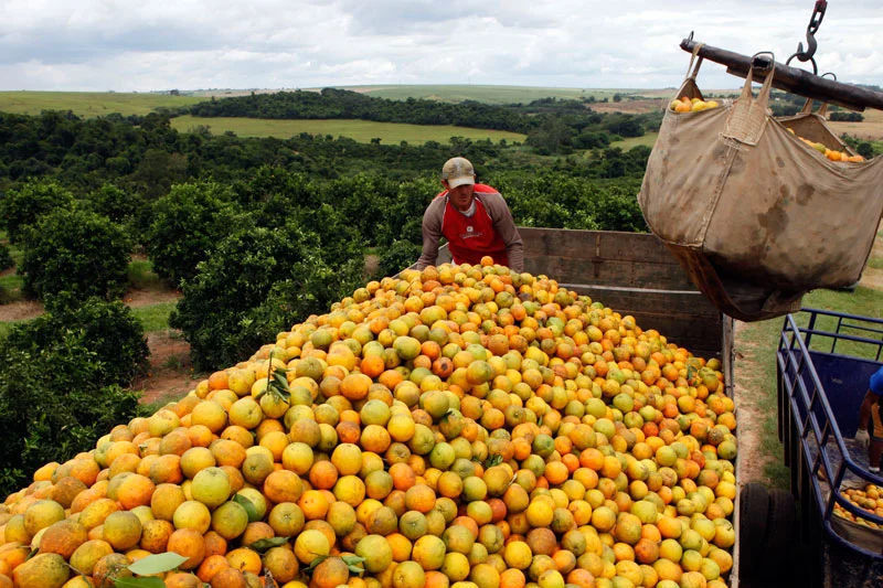 Brazil and Cuba Simplify Agri-Trade with New Deal. (Photo Internet reproduction)