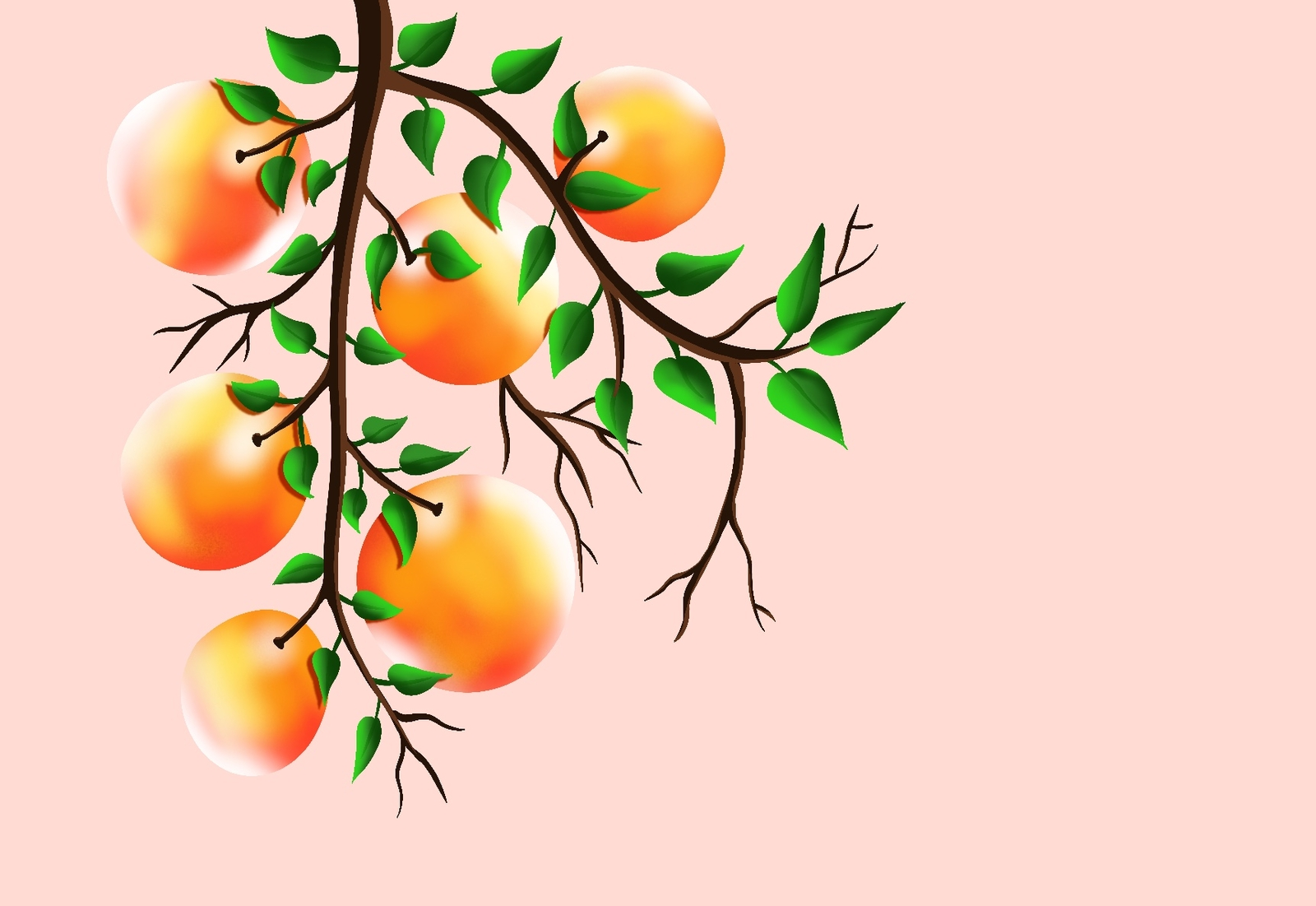 Brazil Struggles to Grow Fruit Exports. (Photo Internet reproduction)