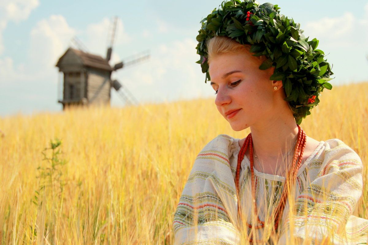  Wheat Prices Drop as Russia Boosts Exports. (Photo Internet reproduction)