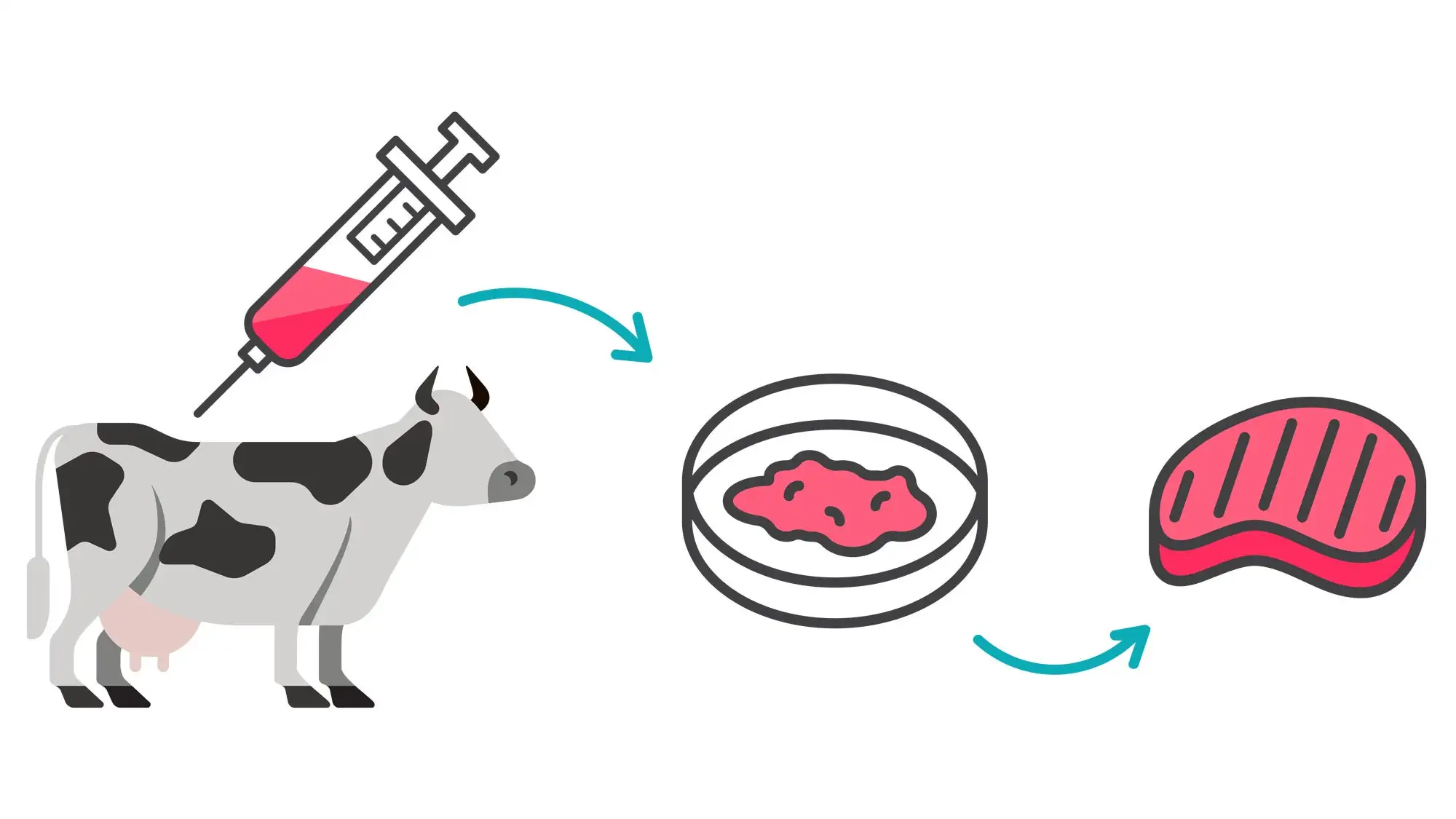 Brazil Spearheads Global Lab-Grown Meat Production. (Photo Internet reproduction)