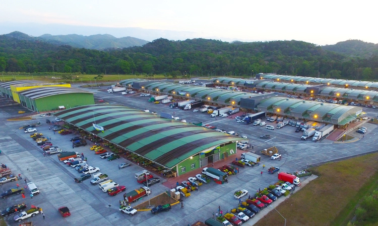 Merca Panamá market