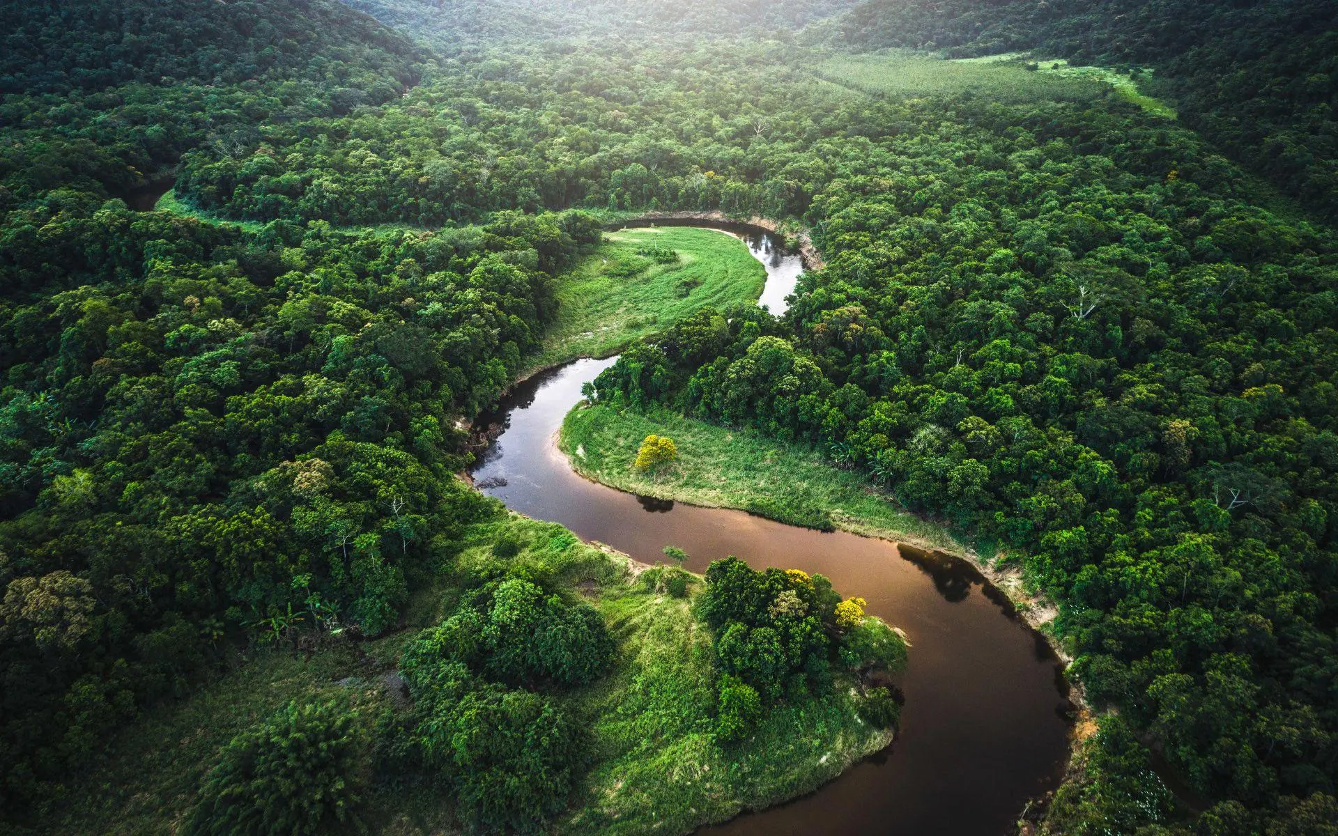 Strategy to Shield 35 Million Hectares in Brazilian Amazonas Unveiled. (Photo Internet reproduction)