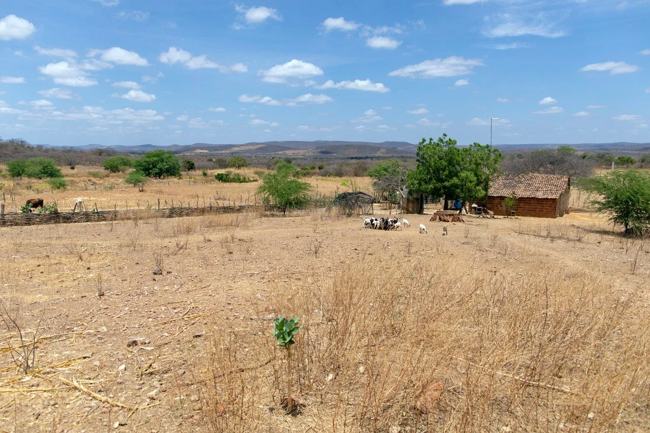 First-Ever Desert-Like Areas Emerge in Brazil. (Photo Internet reproduction)