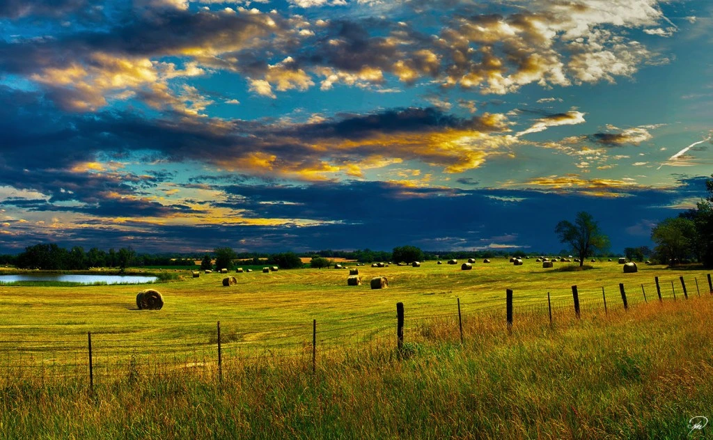Brazil's Agribusiness Sets New Export Record in 2023. (Photo Internet reproduction)