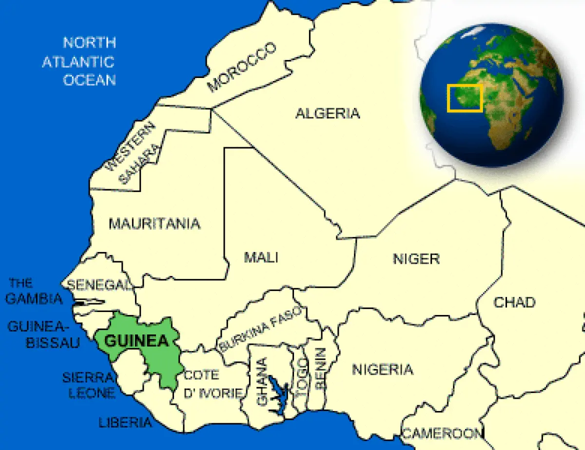 guinea