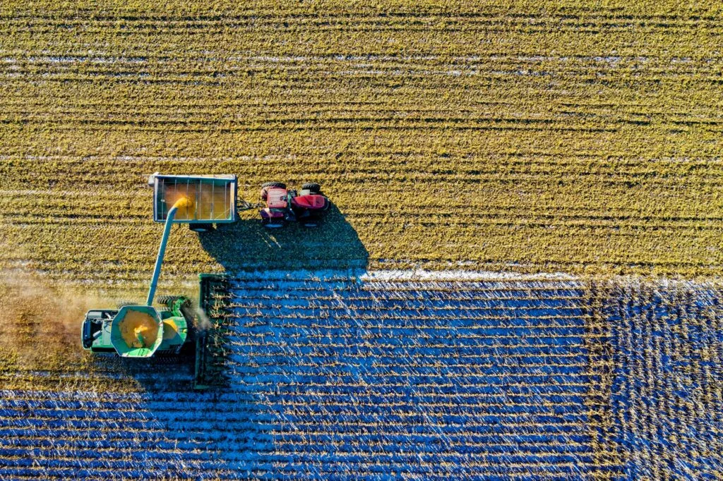 Brazil's 2024 Harvest Forecast Shows Decline. (Photo Internet reproduction)